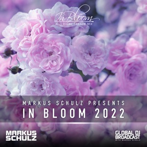 Born to Run (In Bloom 2022) [feat. Natalie Major]