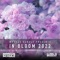 Rediscover (In Bloom 2022) - Young Parisians & Katherine Amy lyrics