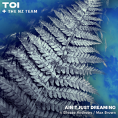 Ain't Just Dreaming (feat. Ellesse Andrews &amp; Max Brown) - TOI &amp; The NZ Team Cover Art