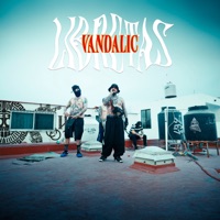 Libretas - Single - Vandalic