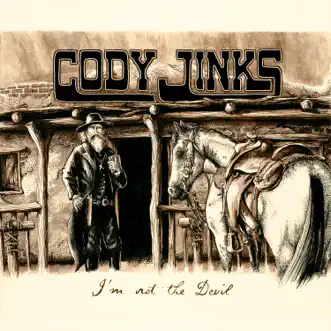 The Way I Am by Cody Jinks song reviws