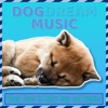 Dog Dream Music: Sleep Tones to Relax Dogs and Puppies