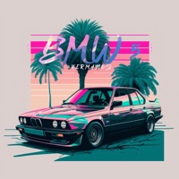 BMW 5 - Single - 2hermanoz