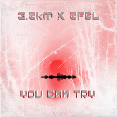 You Can Try (feat. 2FEL) - Single