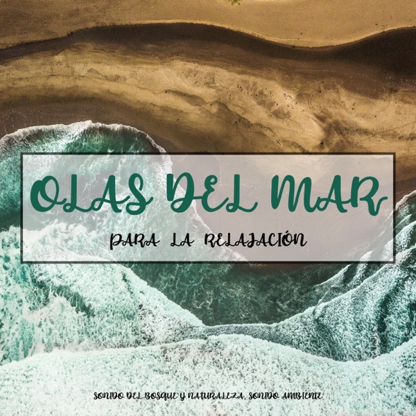 Olas del Mar para la Relajación