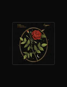 收听 Sunar、观看音乐视频、阅读小传、查看巡演日期等 ！