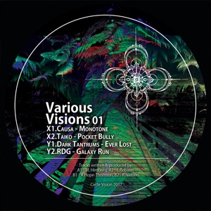 Various Visions 01 - EP