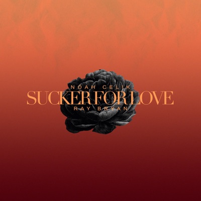 Sucker For Love - Single