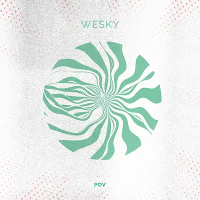 Wesky adlı sanatçının Pov - Single albümünü dinle