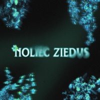 Noliec Ziedus - Single - Vultura