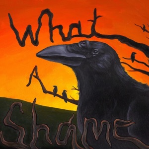 What a Shame - Single
