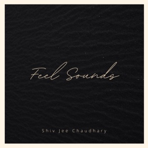 Feel Sounds
