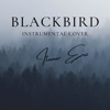 Blackbird (Instrumental Cover) - Itamar Erez