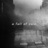A Fall of Rain artwork