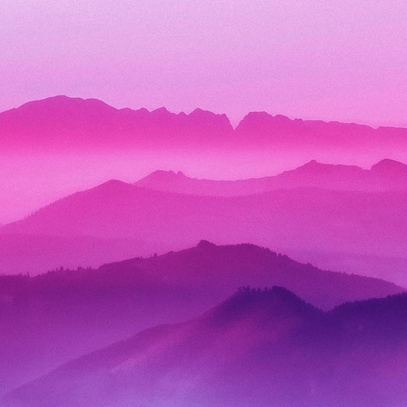 Purple Wave Healing