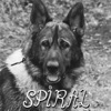 Spiral - Single