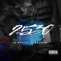 2530 - LG Royal & Bronze