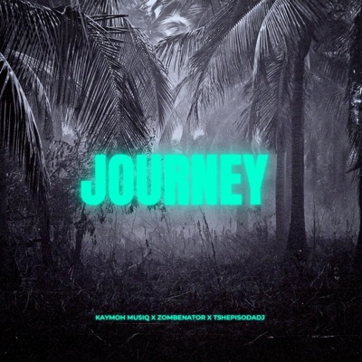 Journey (feat. Zombenator & TshepisoDadj) - Single