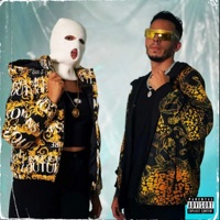 La Miséria (feat. Madrina) - Single - Young Zow