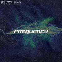 Frequency - Single - Big Trip