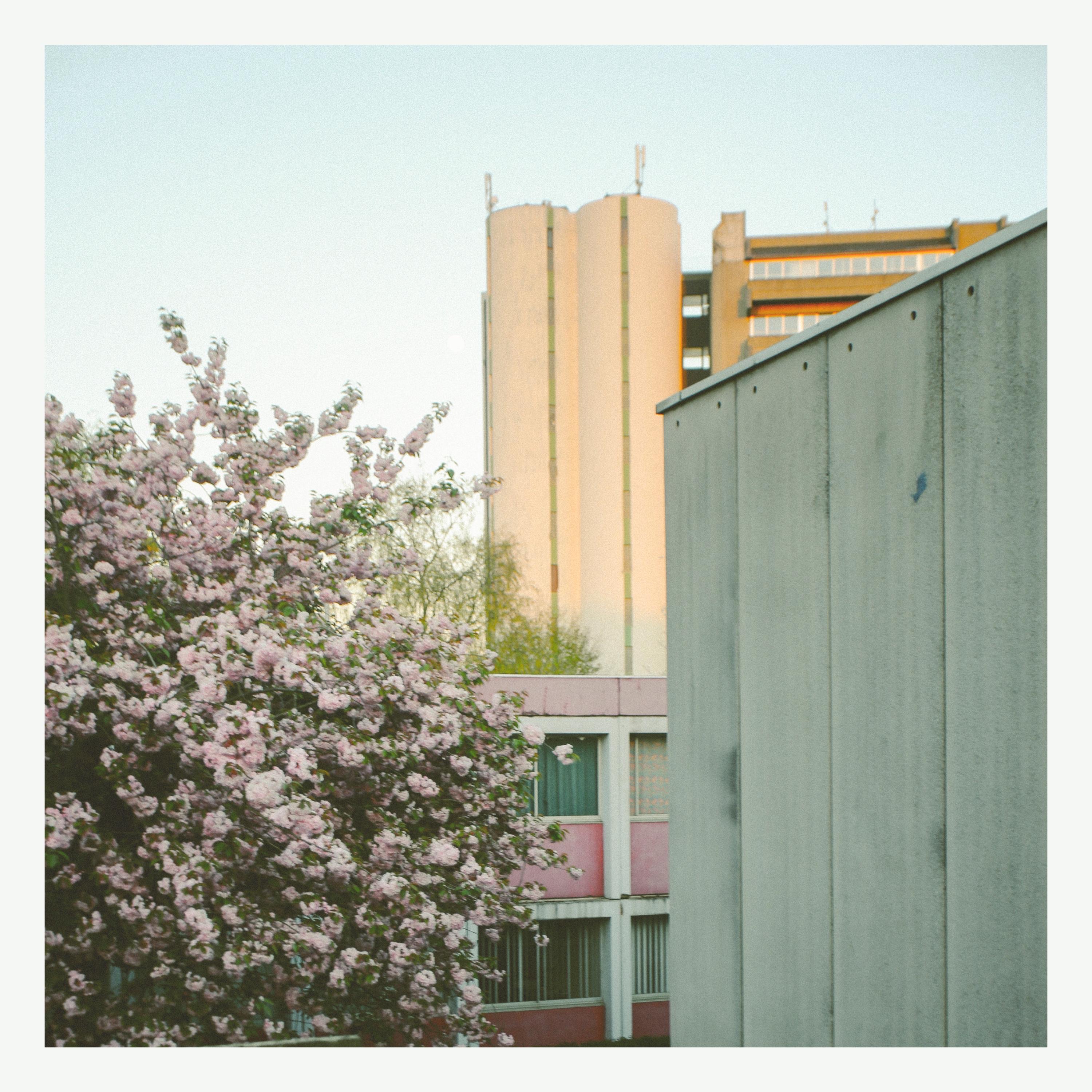 Flowers and Dust - EP