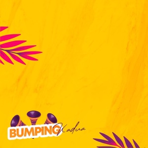 Bumper