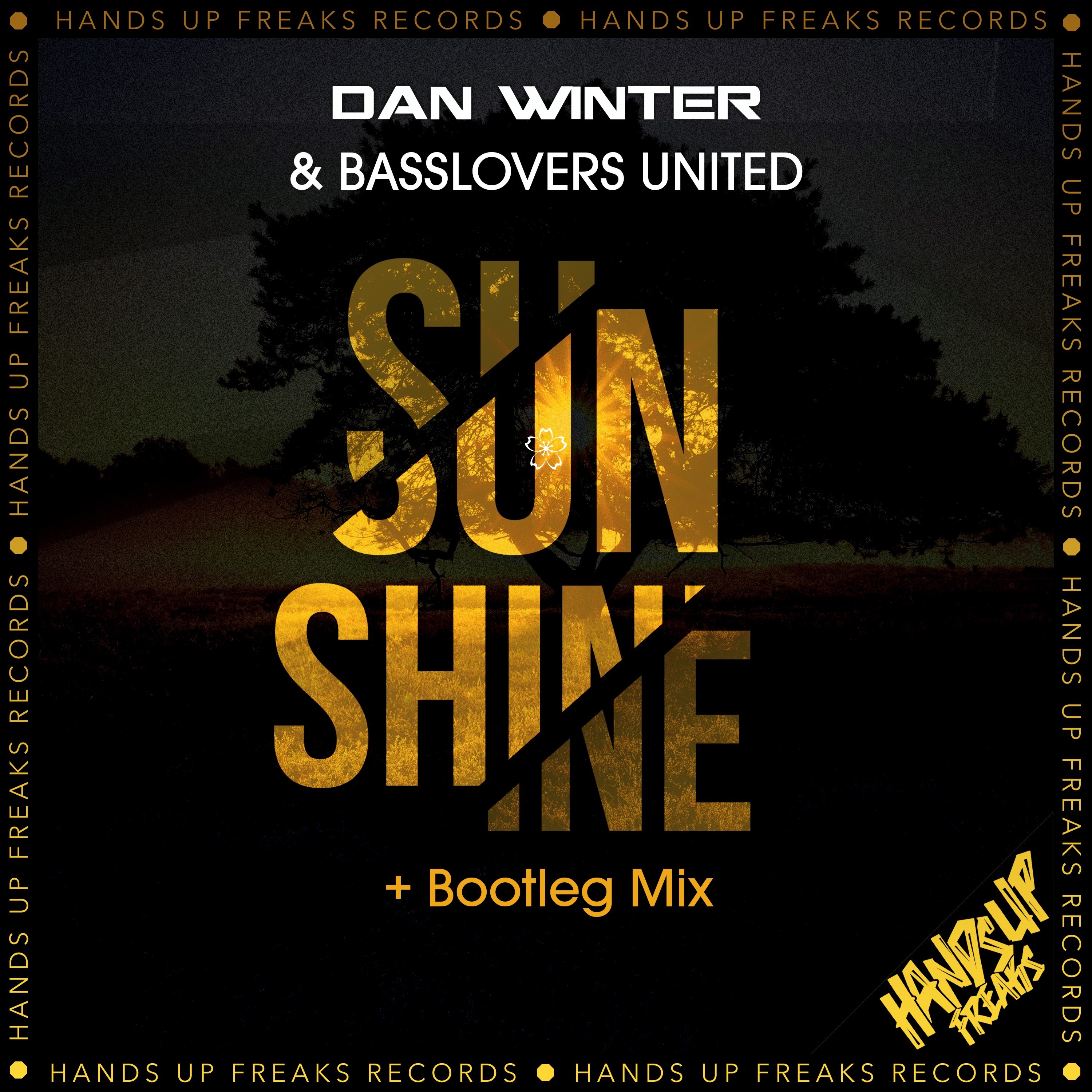 Sunshine (Bootleg Mix) - Single