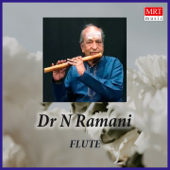 Flute - Dr. N. Ramani - Dr. N Ramani