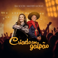Criado em Galpão - Single - Bia Socek & Walther Morais
