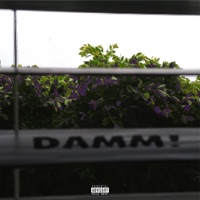 DAMNN! (feat. Toans) - Single - Yo Slabage