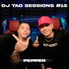 PEPPER  DJ TAO Turreo Sessions #15 - Single