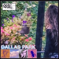 Dallas Park - Single - Michael Sativa
