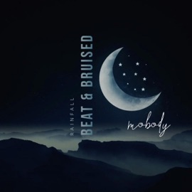 Beat & Bruised Mobody
