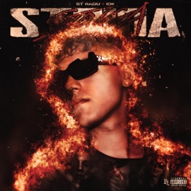 STRIGA (feat. IDK) STRadu