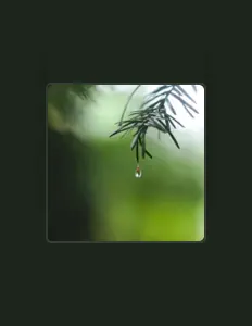 轻音博物馆 सुनें, म्यूज़िक वीडियो देखें, बायो पढ़ें, दौरे की तारीखें और बहुत कुछ देखें!
