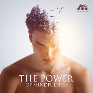 The Power of Mindfulness
