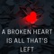 Me And My Broken Heart - Rixton lyrics