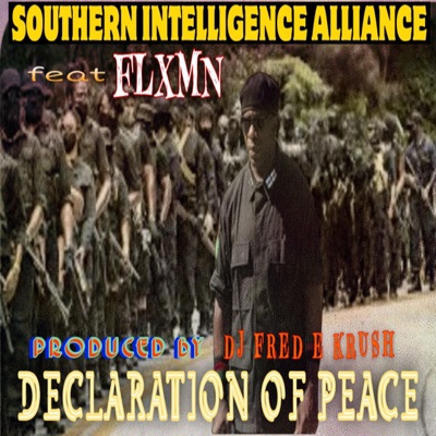 Declaration of Peace - Single