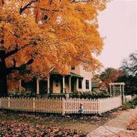 Seasons - Single - Tae!