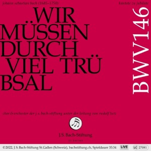 Wir müssen durch viel Trübsal, BWV 146: III. Arie (Alt) - Ich will nach dem Himmel zu [Live]