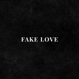 Fake Love (Acoustic Mix) HUBBLE