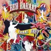 Red Baraat - Aaj Mere Yaar Ki Shaadi Hai (feat. Sunny Jain)