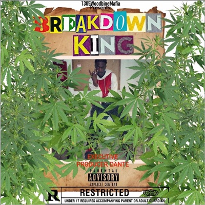 Breakdown King