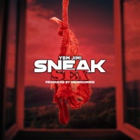 Sneak Sex - Single - YBM Jimi