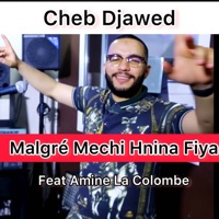 Malgré Mechi Hnina Fiya (feat. Amine La Colombe) - Single - Cheb Djawed