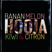 Banan Melon Kiwi & Citron - Hooja Cover Art