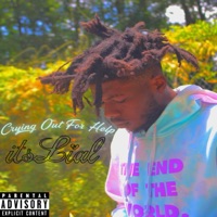 Crying Out For Help - Single - Itslial