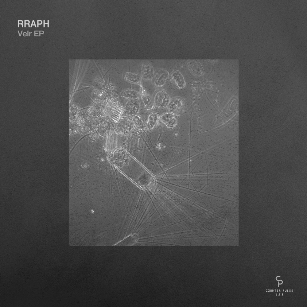 Обложка альбома «Velr - Single» — Rraph
