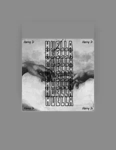 Ouve Harry Jr, vê vídeos de música, lê a biografia, vê as datas da digressão e muito mais!