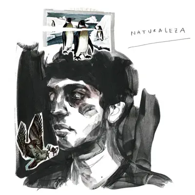 Naturaleza - Single - The New Raemon